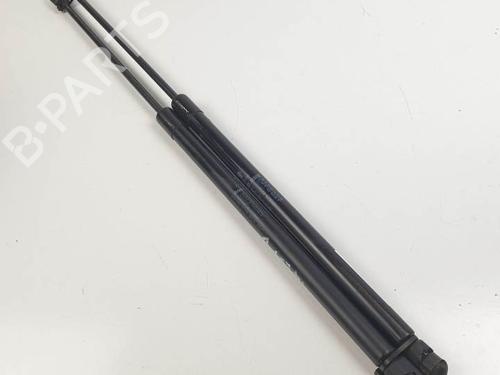Hood lift support MINI MINI Convertible (R52) One 71750202 | 6591WN  | 270N