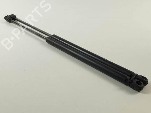 Used Tailgate lift support MINI MINI (R56) One D (90 hp) 25294840