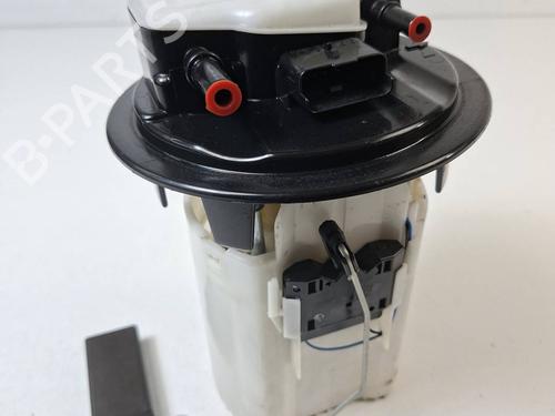 Used Fuel pump Fuel pump PEUGEOT 208 I (CA_, CC_) 1.6 BlueHDi 100 (100 hp) 40287924 40287924