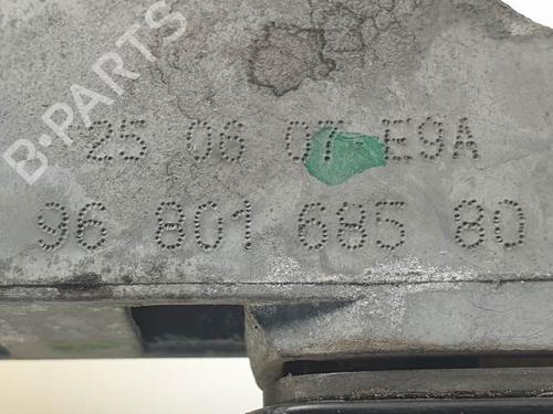 Front right exterior door handle CITROËN C4 Picasso I MPV (UD_) 2.0 HDi 138 | BP24915638C129 
