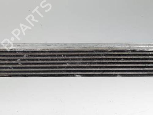 Intercooler RENAULT MEGANE III Hatchback (BZ0/1_, B3_) 1.5 dCi (BZ09, BZ0D, BZ1W, BZ29, BZ14) (110 hp) 28508223