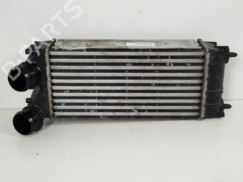 Used Intercooler Intercooler CITROËN C4 II (NC_) 1.6 HDi 90 (92 hp) 6845329 6845329