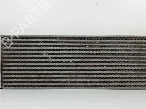 Used Intercooler Intercooler RENAULT MEGANE II Coupé-Cabriolet (EM0/1_) 1.9 dCi (131 hp) 25285988 25285988