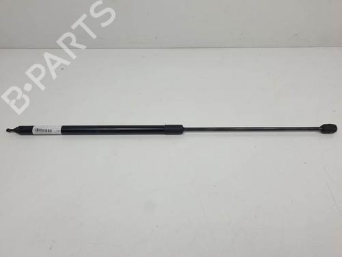 Used Hood lift support RENAULT MEGANE III Hatchback (BZ0/1_, B3_) 1.5 dCi (BZ09, BZ0D, BZ1W, BZ29, BZ14) (110 hp) 13960397