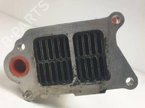 Egr CITROËN C5 III (RD_) 2.0 HDi 165 (RDRHHA, RDRHH8) | BP30959299M69