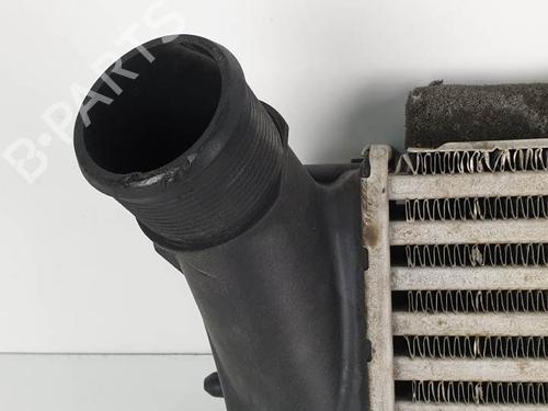 Intercooler FORD FIESTA VI (CB1, CCN) 1.0 EcoBoost | BP6839925M30 