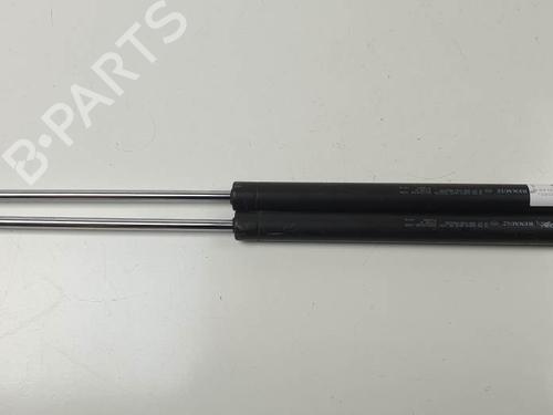 tailgate-lift-support-renault-laguna-ii-bg01_-2001-2002-2003-2004-2005-2006-2007-29245667 main image