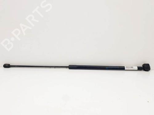 Used Hood lift support RENAULT MEGANE III Grandtour (KZ0/1) 1.5 dCi (KZ09, KZ0D, KZ1G, KZ29, KZ14, KZ1W, KZ10, KZ1F,... (110 hp) 16480116