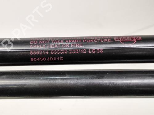 Tailgate lift support NISSAN QASHQAI / QASHQAI +2 I (J10, NJ10, JJ10E) 1.5 dCi | BP13954325C138 