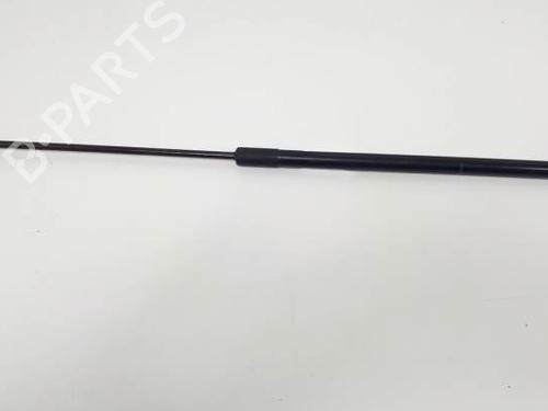 Used Hood lift support AUDI A6 C6 (4F2) 3.0 TDI quattro (225 hp) 16444820