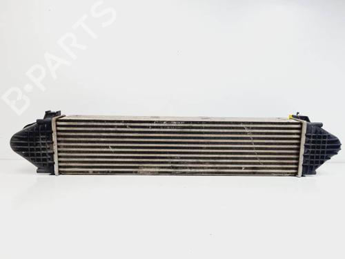 Intercooler LAND ROVER FREELANDER 2 (L359) 2.2 TD4 4x4 | BP28106400M30 