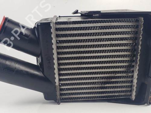 Used Intercooler Intercooler RENAULT SCÉNIC I MPV (JA0/1_, FA0_) 1.9 dCi (JA05, JA1F) (102 hp) 20510833 20510833