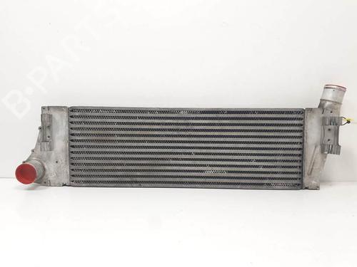 Used Intercooler Intercooler RENAULT MEGANE II (BM0/1_, CM0/1_) 1.5 dCi (BM0F, BM0T, BM2B, CM0F, CM0T) (82 hp) 29271975 29271975
