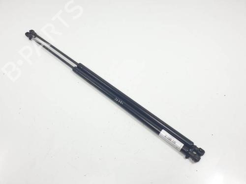 tailgate-lift-support-renault-scenic-iii-jz01_-2008-2009-2010-2011-2012-2013-2014-2015-2016-28065791 main image