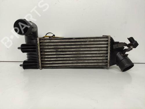Used Intercooler Intercooler CITROËN C5 I (DC_) 2.2 HDi (DC4HXB, DC4HXE) (133 hp) 18654044 18654044