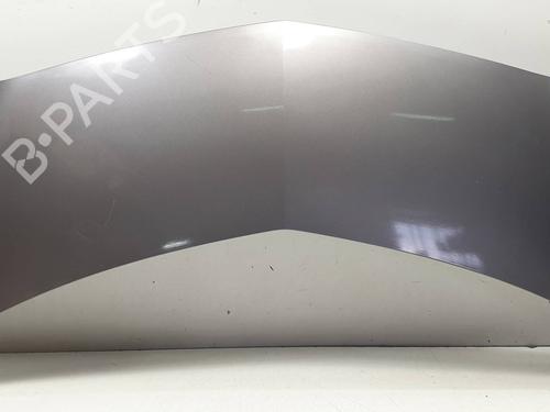 hood-renault-modus-grand-modus-fjp0_-2004-37229917 main image