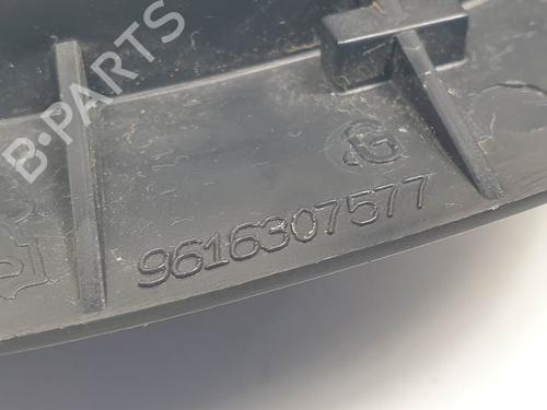 Front left interior door handle PEUGEOT 406 (8B) 2.0 HDI 110 | BP25000098I13 