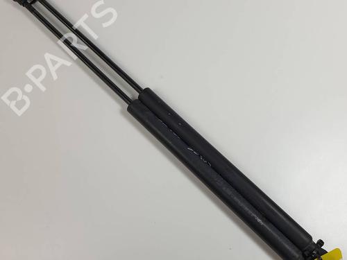 Used Tailgate lift support Tailgate lift support PEUGEOT 207 (WA_, WC_) 1.6 HDi (90 hp) 34534301 34534301