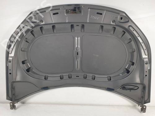 Hood VW TIGUAN (5N_) 2.0 TFSI 4motion | BP29763265C1