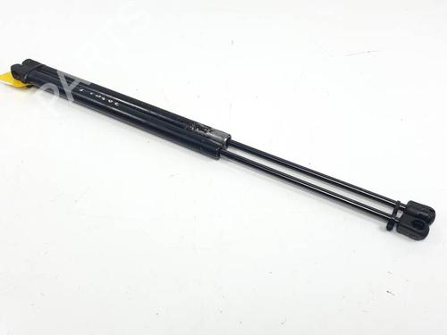 Gasdæmper bagklap VW GOLF IV (1J1) 1.9 TDI (101 hp) 25453661