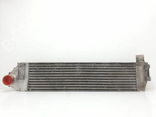 Used Intercooler RENAULT MEGANE II Estate (KM0/1_) 1.9 dCi (131 hp) 25138818