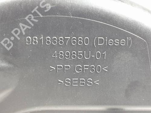 Fuel flap PEUGEOT 2008 I (CU_) 1.2 PureTech 82 | BP29581663C131 