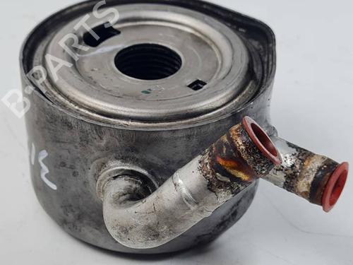 Used Oil radiator RENAULT KANGOO (KC0/1_) 1.5 dCi (KC07) (65 hp) 29298091