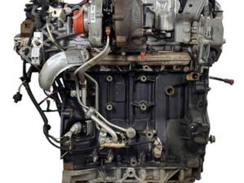 Engine RENAULT MEGANE II (BM0/1_, CM0/1_) 2.0 dCi (BM1K, CM1K) | BP31152971M1 