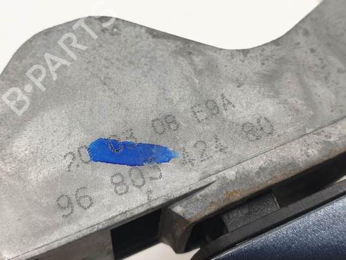 Front right exterior door handle CITROËN C4 Picasso I MPV (UD_) 2.0 HDi 138 | BP29245214C129 