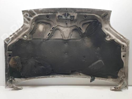 Hood FORD TRANSIT CONNECT (P65_, P70_, P80_) 1.8 Di | BP29417083C1 