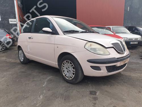 Brugte LANCIA YPSILON (843_)  1.2 (843.AXA1A)  4640113