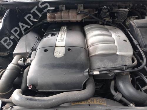  - Image 7
