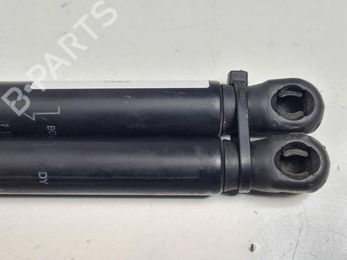Hood lift support LAND ROVER RANGE ROVER EVOQUE (L538) 2.0 D | BP29989611C139