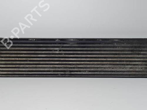Used Intercooler Intercooler NISSAN X-TRAIL II (T31) 2.0 dCi (150 hp) 29175649 29175649