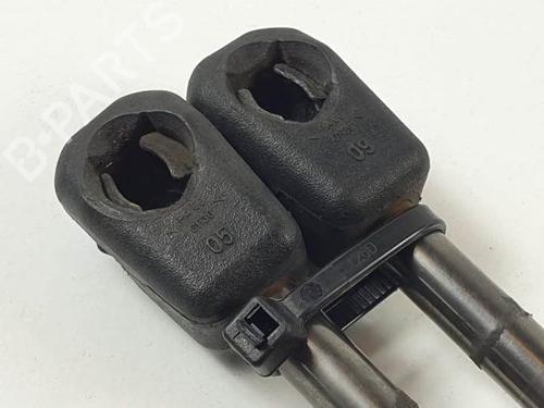 Tailgate lift support MINI MINI (R56) One D | BP25294840C138 