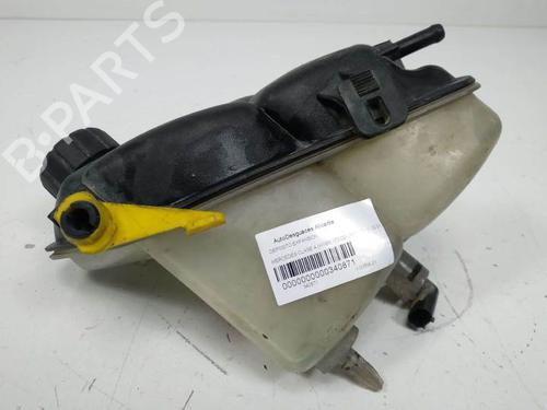 Expansion tank MERCEDES-BENZ A-CLASS (W168) A 170 CDI (168.009, 168.109) | BP8281892C120 