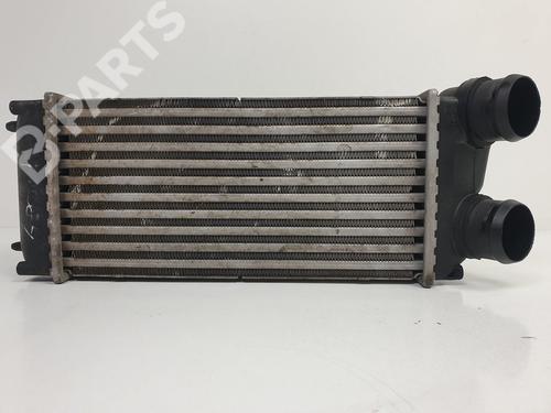 Used Intercooler Intercooler PEUGEOT 307 (3A/C) [2000-2012] 10542484 10542484