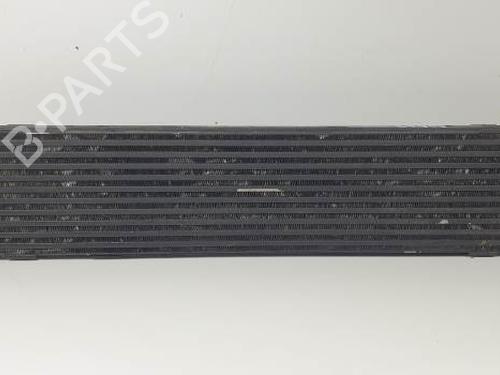 Used Intercooler FORD S-MAX (WA6) 2.0 TDCi (140 hp) 28059650
