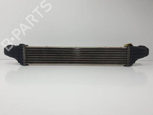 Intercooler MERCEDES-BENZ E-CLASS (W211) E 220 CDI (211.006) | BP16784801M30 