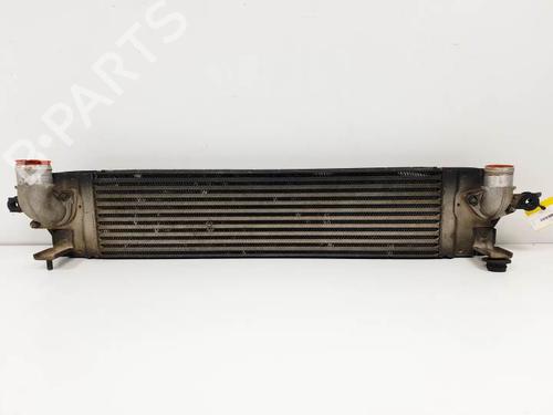 Used Intercooler NISSAN X-TRAIL II (T31) 2.0 dCi (150 hp) 24989586