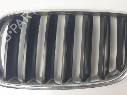 Used Grille Grille 20086634 20086634