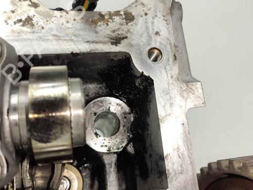 Cylinder head LAND ROVER RANGE ROVER SPORT I (L320) 2.7 D 4x4 | BP10970897M5 