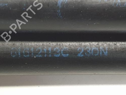 Hood lift support LAND ROVER RANGE ROVER SPORT I (L320) 2.7 D 4x4 | BP13953559C139 
