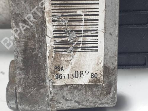 Steering pump PEUGEOT 206+ (2L_, 2M_) 1.4 HDi eco 70 | BP29849898M99 