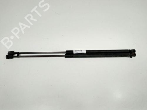 Used Tailgate lift support Tailgate lift support FORD FOCUS C-MAX (DM2) 1.8 (125 hp) 13953676 13953676