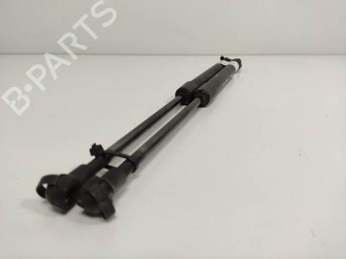 Tailgate lift support BMW 1 (E87) 120 d | BP13956042C138 