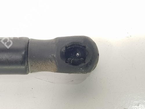Hood lift support VW GOLF VII (5G1, BQ1, BE1, BE2) 2.0 TDI | BP13954681C139 