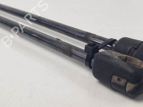 Tailgate lift support FORD FOCUS III 1.6 Ti | BP20102043C138 