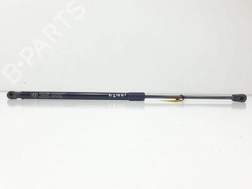 Used Tailgate lift support Tailgate lift support 16773496 16773496