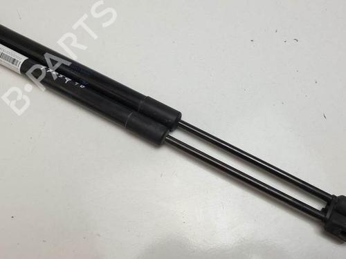 tailgate-lift-support-renault-megane-iii-hatchback-bz01_-b3_-2008-25140872 main image